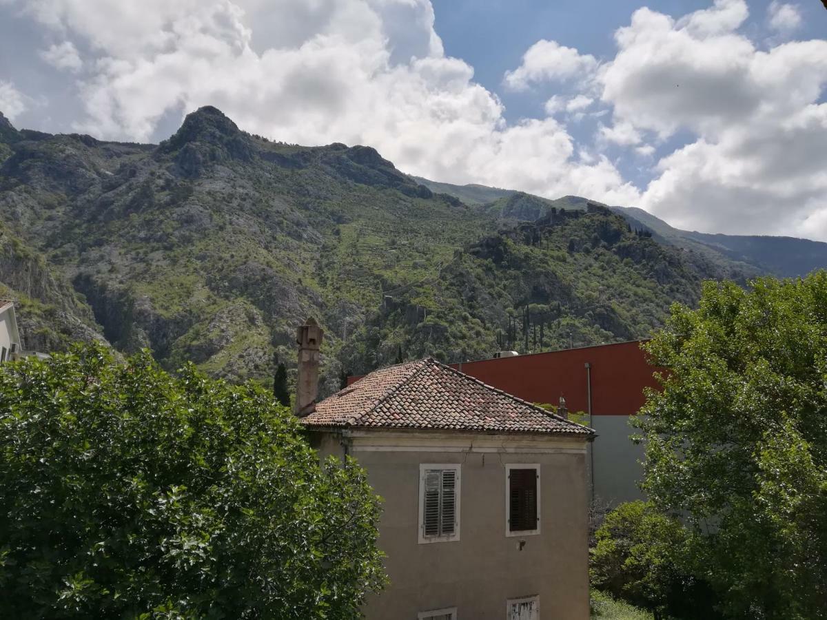 Apartment Nikolic Kotor Exterior foto